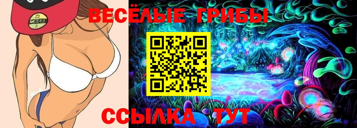 Псилоцибиновые грибы Cubensis Протвино